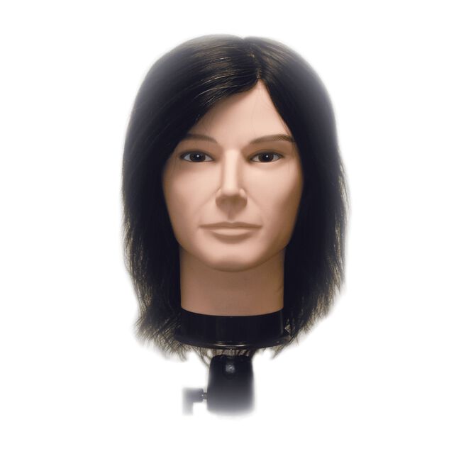 Celebrity Jake Budget Male Mannequin Head Burmax Company Inc CosmoProf